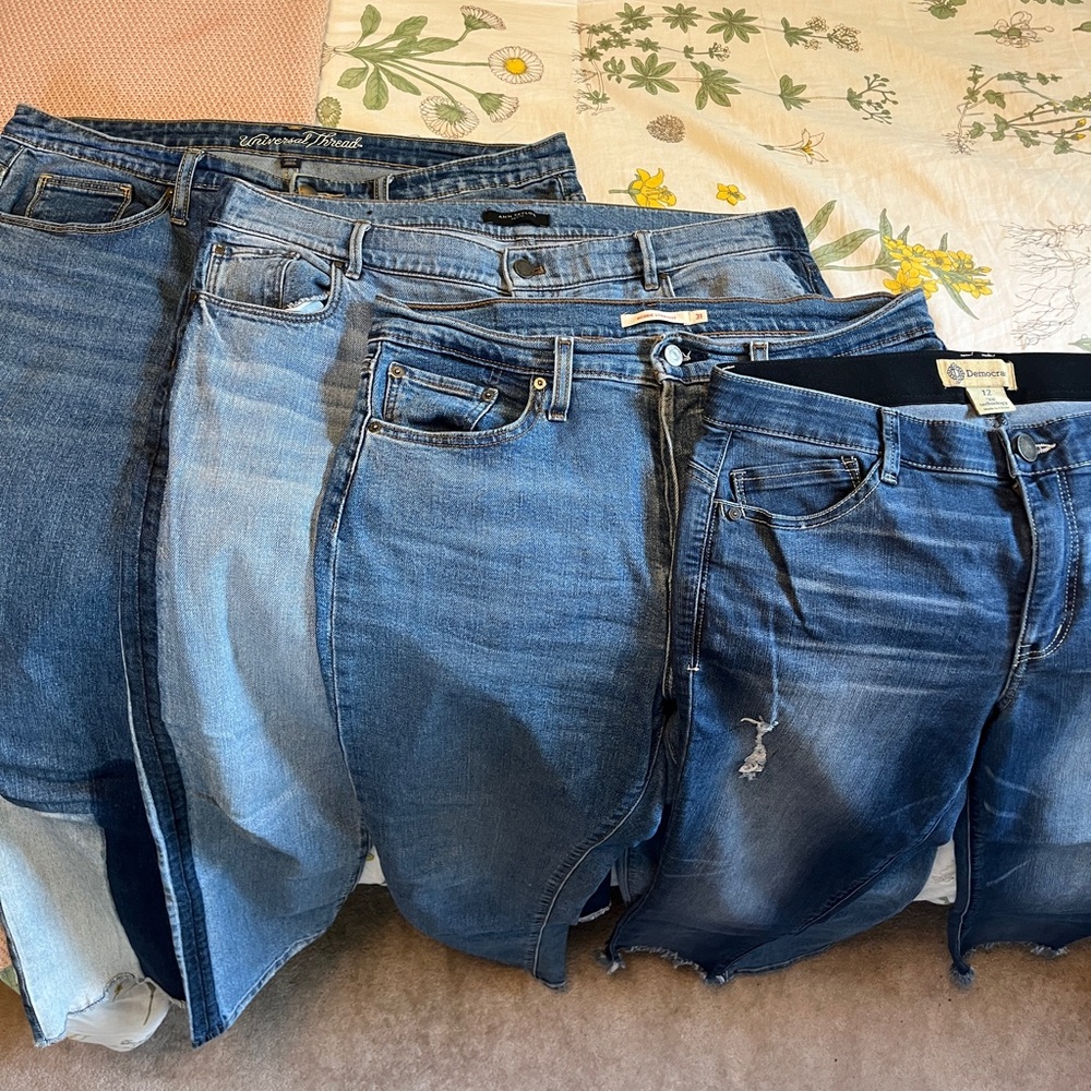 Size 12 Women's Blue Jeans Bundle
